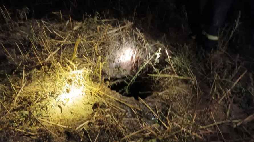 Фото: ОСВОД Гомельской области