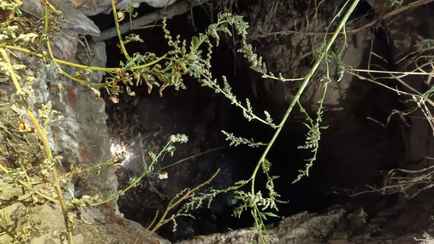 Стоял в холодной воде и держал на руках собаку. В Гомельской области подросток упал в колодец