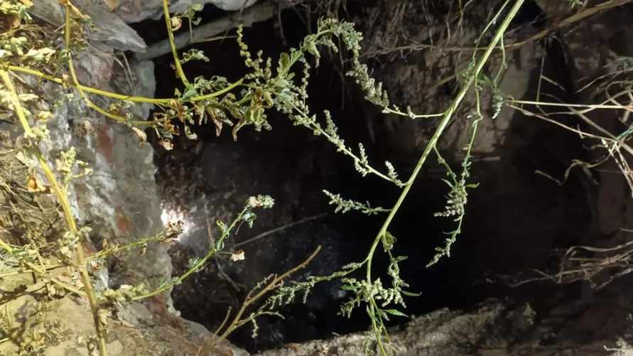 Фото: ОСВОД Гомельской области