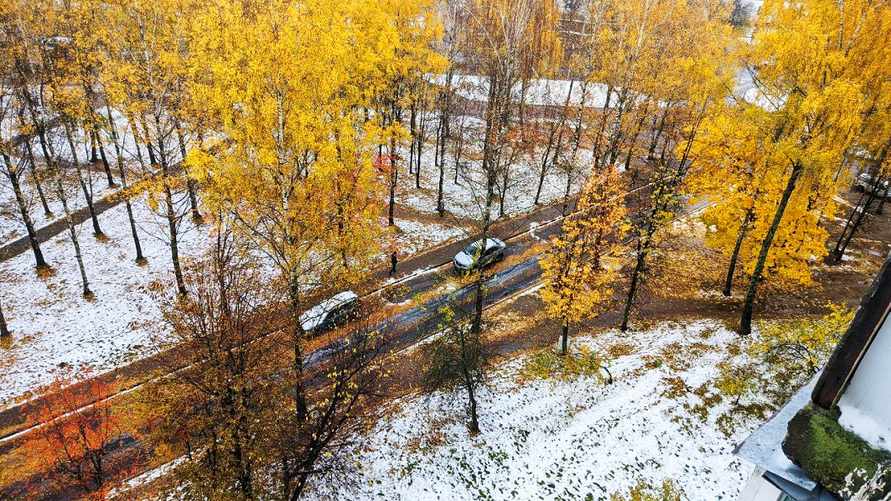 Фото из Могилева. Источник: тг-канал @nadvorie/zharabya