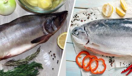 В Беларуси рухнули цены на красную рыбу. Что купить — горбушу или форель?