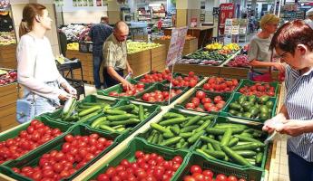 В Минсельхозпроде заявили, что белорусских помидоров до весны не хватит. А огурцов?