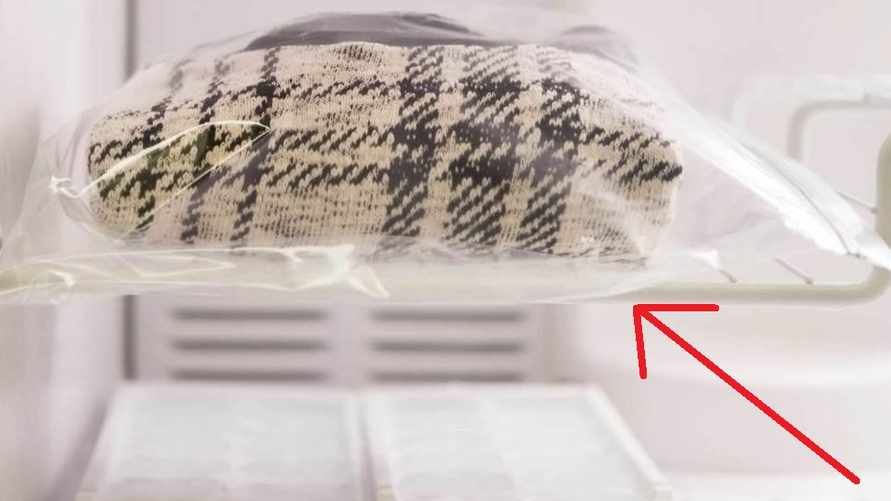 Зачем белорусам класть свитер в морозильник? На это есть 2 важные причины