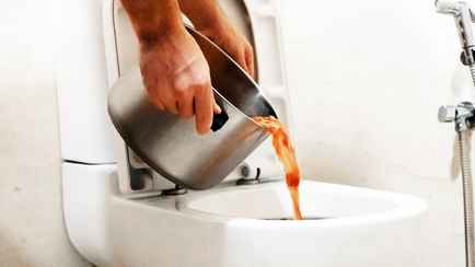 Куда выливать остатки супа? Вот способ, чтобы не засорять унитаз