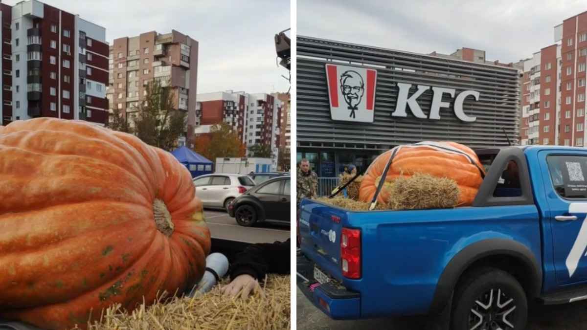 Стала известна судьба гигантской тыквы из-под Бреста, которая «взорвала» интернет