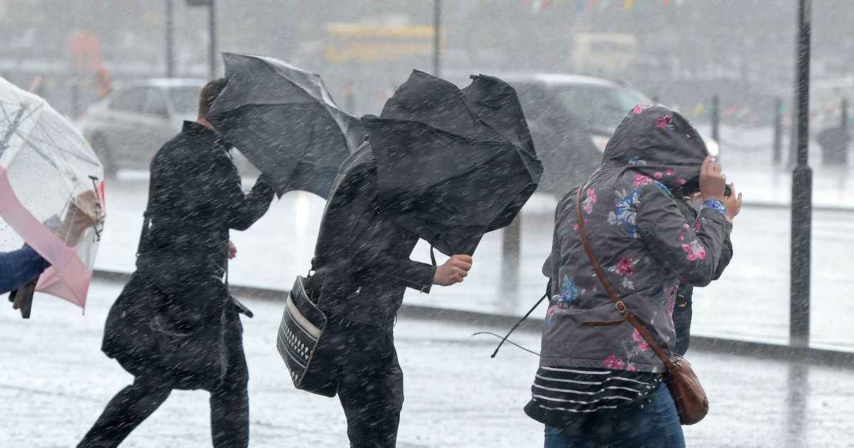 Фото иллюстрационное