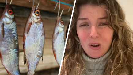 В доме без причины запахло рыбой? Вот почему это может привести к пожару