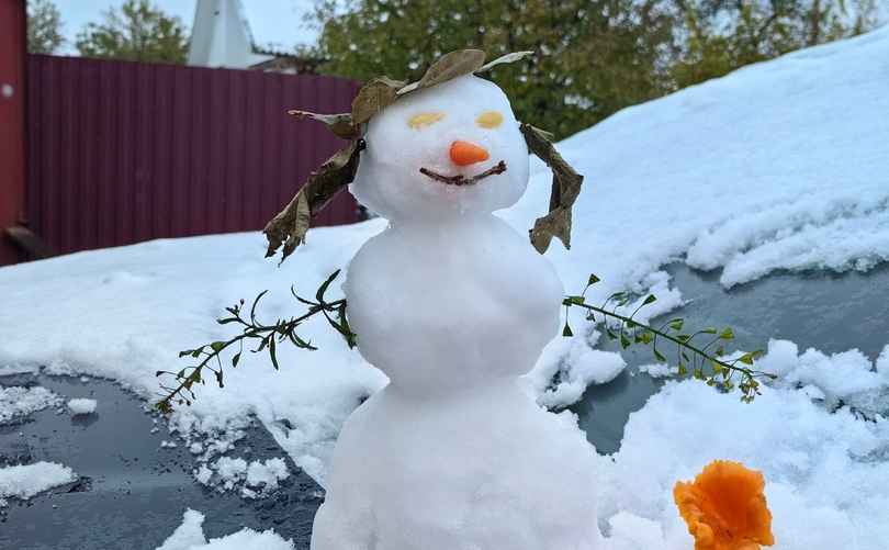 Фото из группы VK "Грибы: Грибные войска Беларуси"