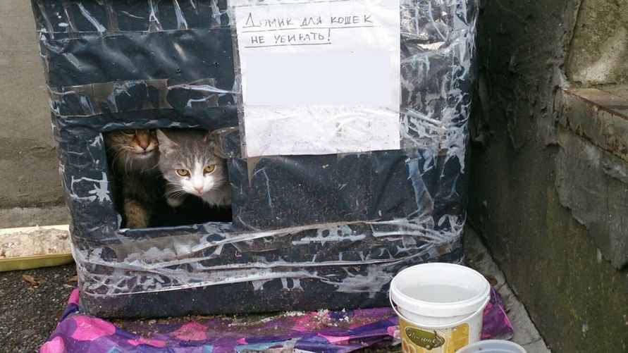 Фото иллюстрационное