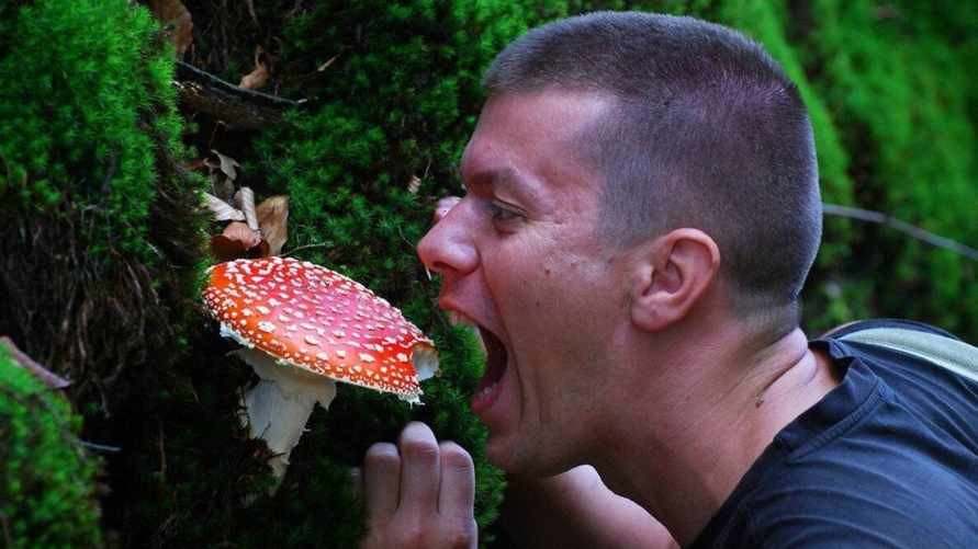 Фото иллюстрационное