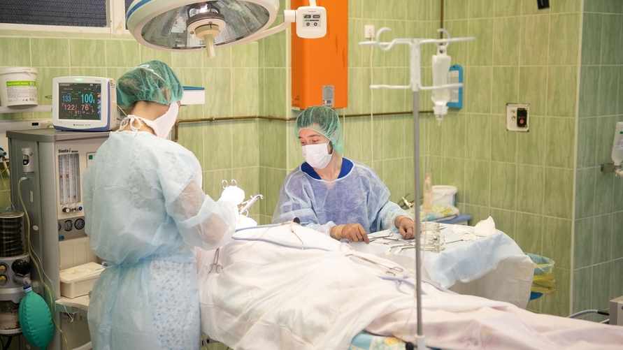 Фото иллюстрационное: "Республика"/Лилия Кончакова