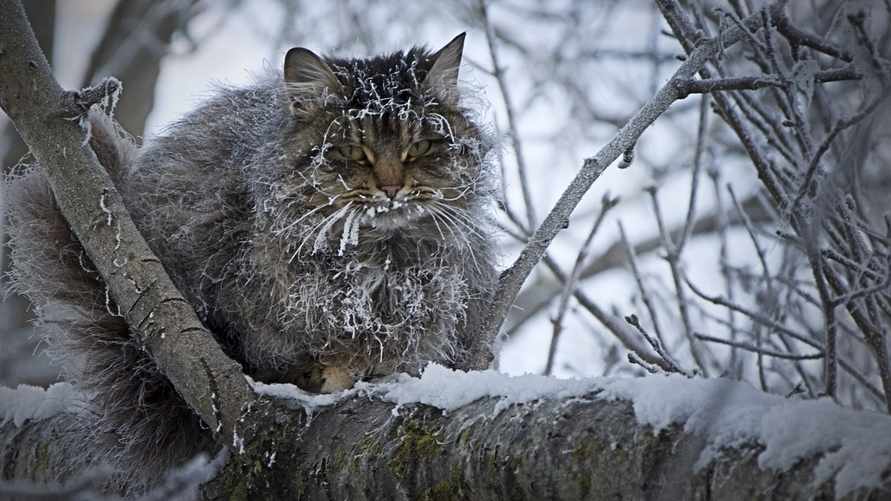 Фото иллюстрационное