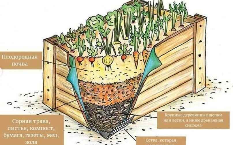Вот еще один способ сделать теплую грядку