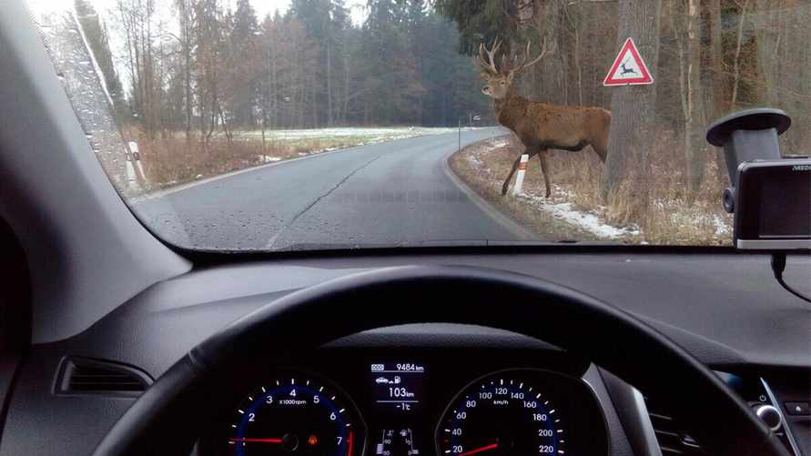 Фото иллюстрационное: Thomas Jentzsch / Global Look Press