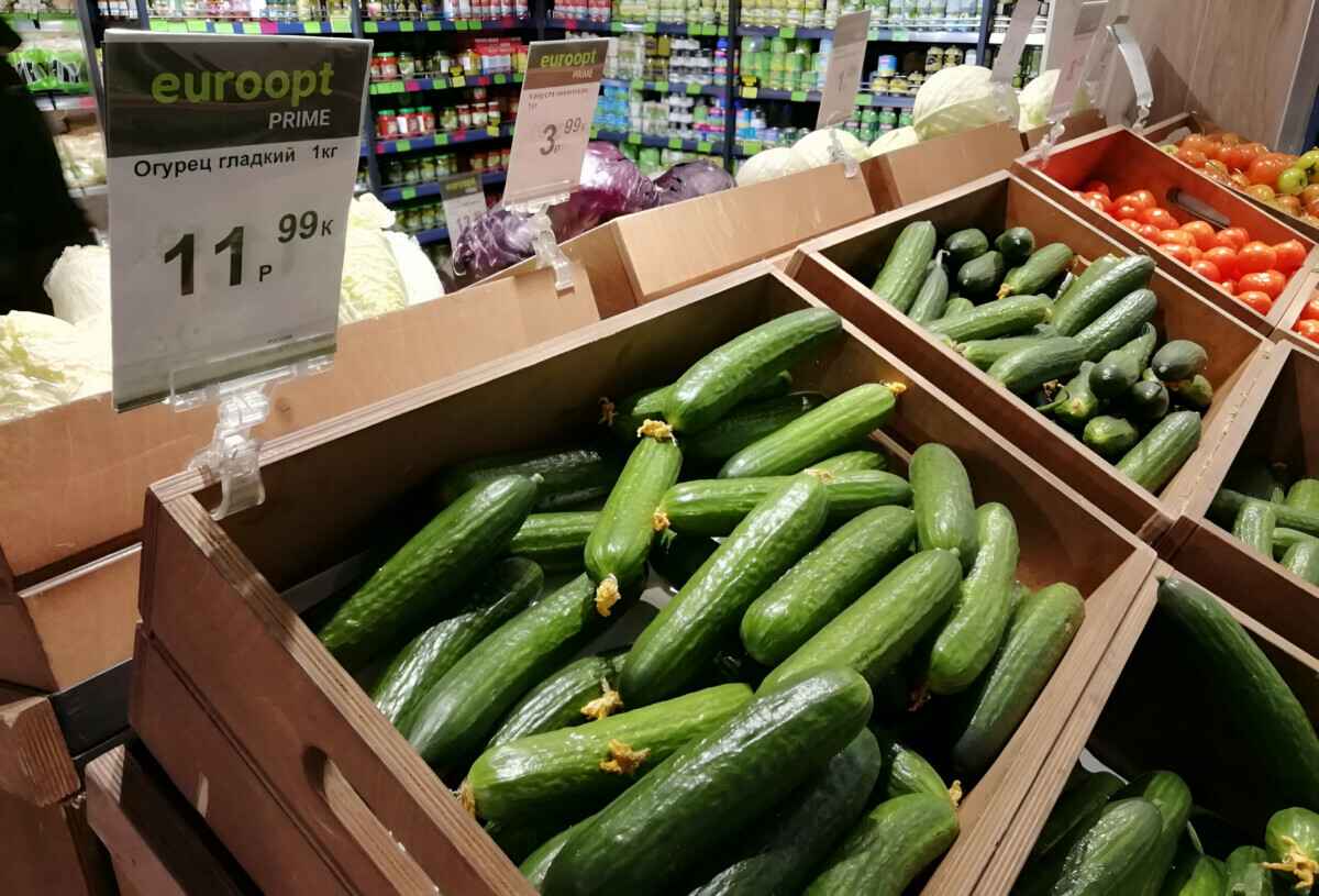 Такую цену на огурцы можно было увидеть зимой 2022-23 годов. 