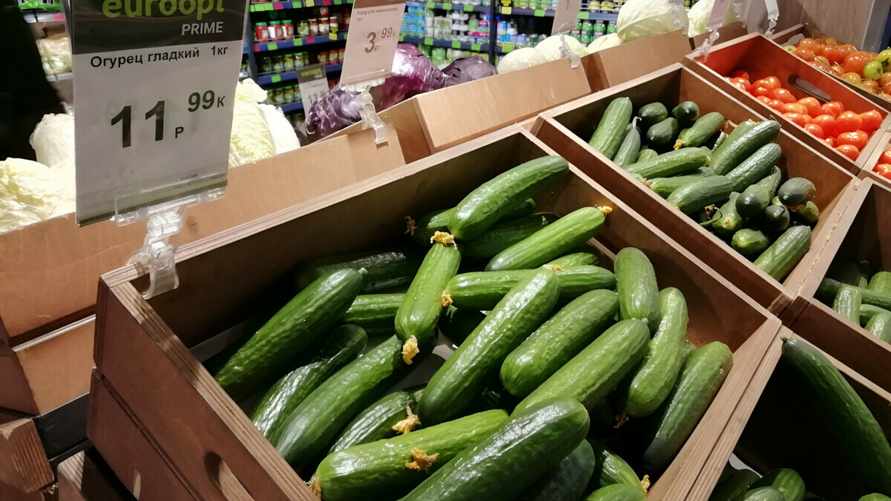 Такую цену на огурцы можно было увидеть зимой 2022-23 годов.