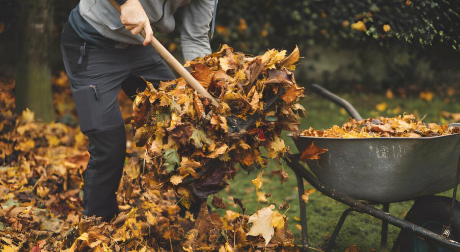 Уборка осенних листьев – одна из тех обременительных