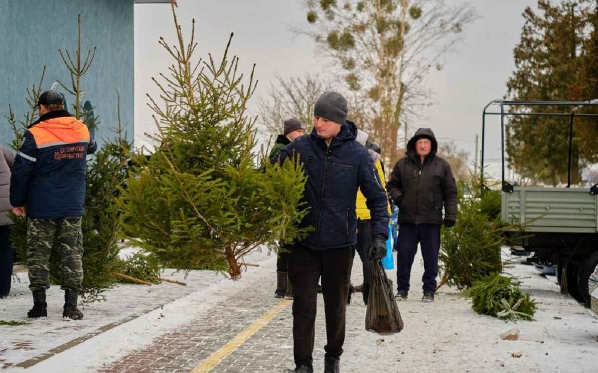 Фото иллюстрационное: bereza.by