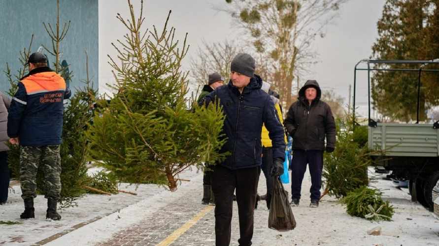 Фото иллюстрационное: bereza.by