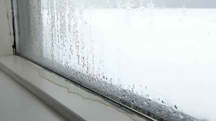 Что будет, если не избавиться от конденсата на окнах? Эксперт и ВОЗ дали 6 советов, как избежать серьезных проблем
