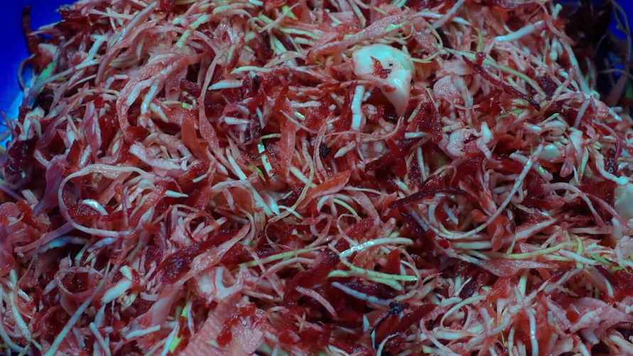 Фото: hajduczeknaturalnie.pl