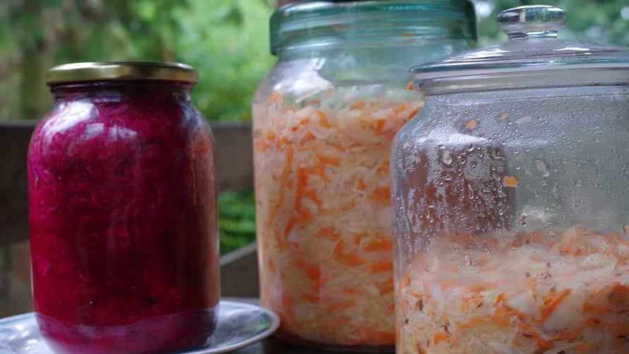 Фото: hajduczeknaturalnie.pl