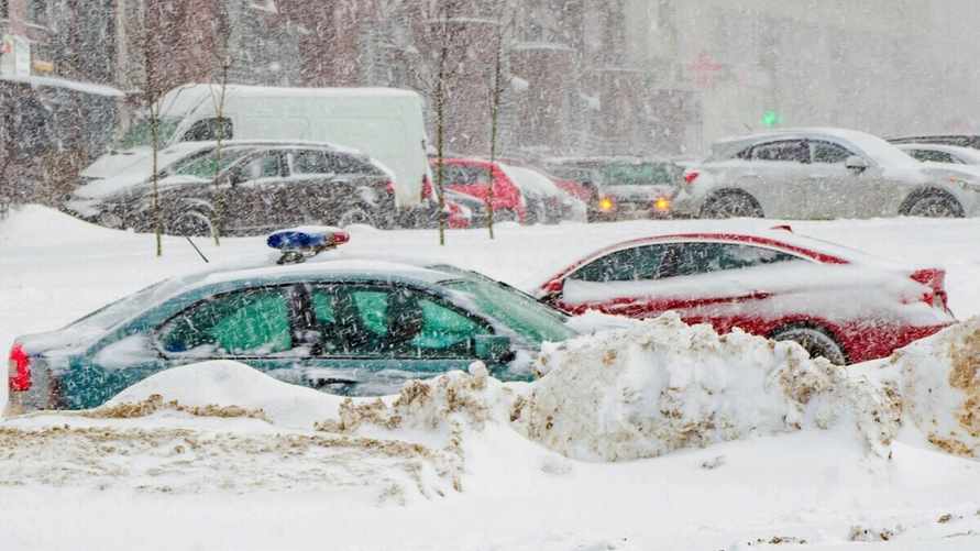 Где в Беларуси 30 ноября пообещали снегопады и метели? В МЧС объявили частичный оранжевый уровень