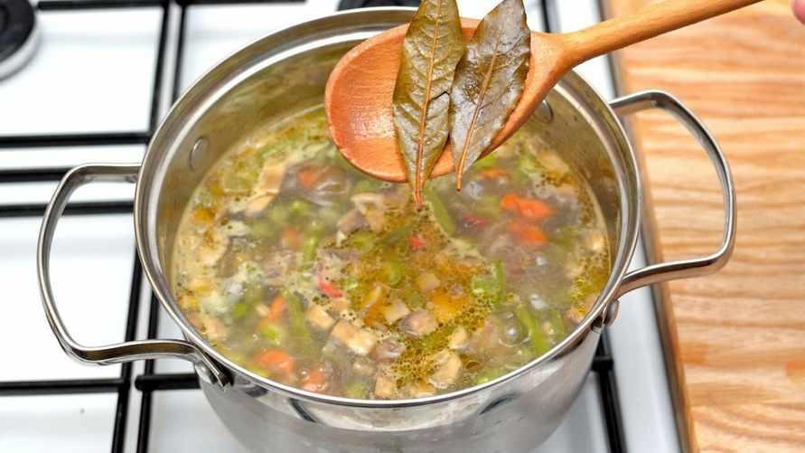 В какие блюда нельзя класть лавровый лист? Разобрались, как отличить подделку от настоящего