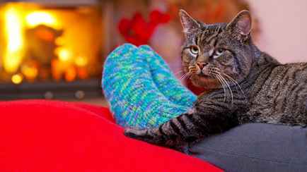 Эти 12 способов помогут вам согреться, если батареи не справляются. А какие 3 опасны для жизни?