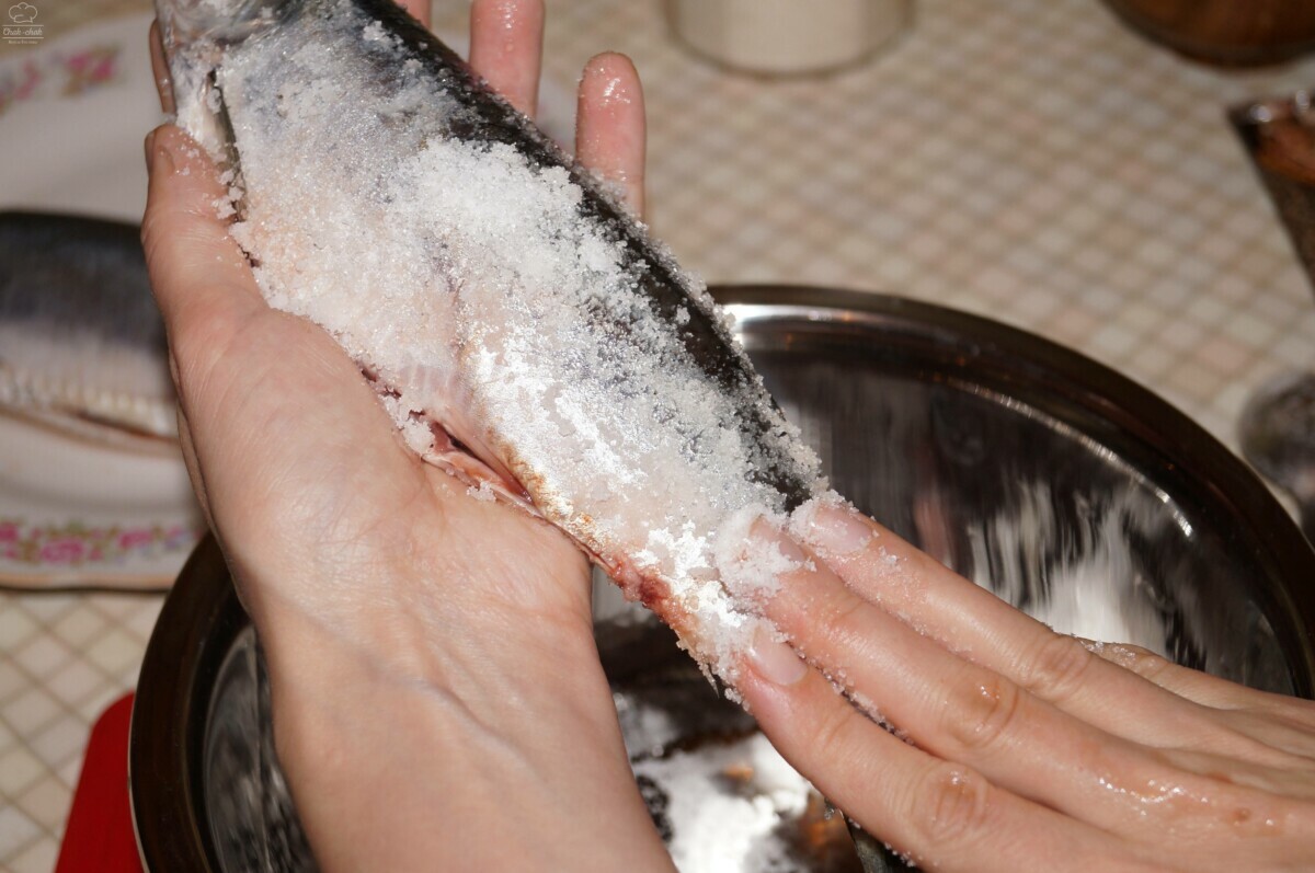 Как вкусно засолить рыбу в домашних условиях? Нашли рецепты для красной и речной