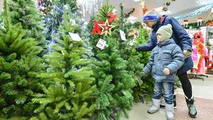 От 6 до 983 рублей. В магазинах Минска озвучила цены на искусственные ёлки. А сладкие подарки по чём?