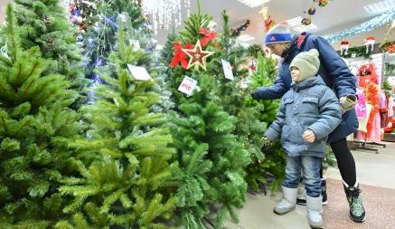 От 6 до 983 рублей. В магазинах Минска озвучила цены на искусственные ёлки. А сладкие подарки по чём?