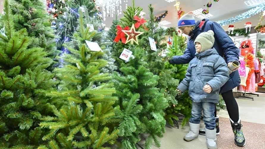 Фото иллюстрационное