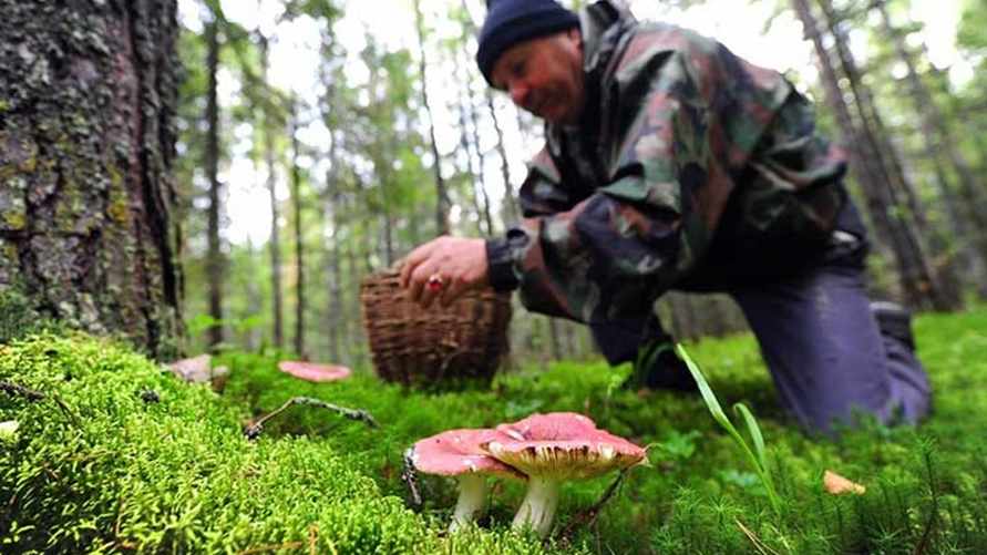 Фото иллюстрационное