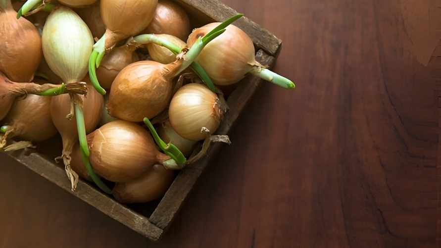 Фото иллюстрационное