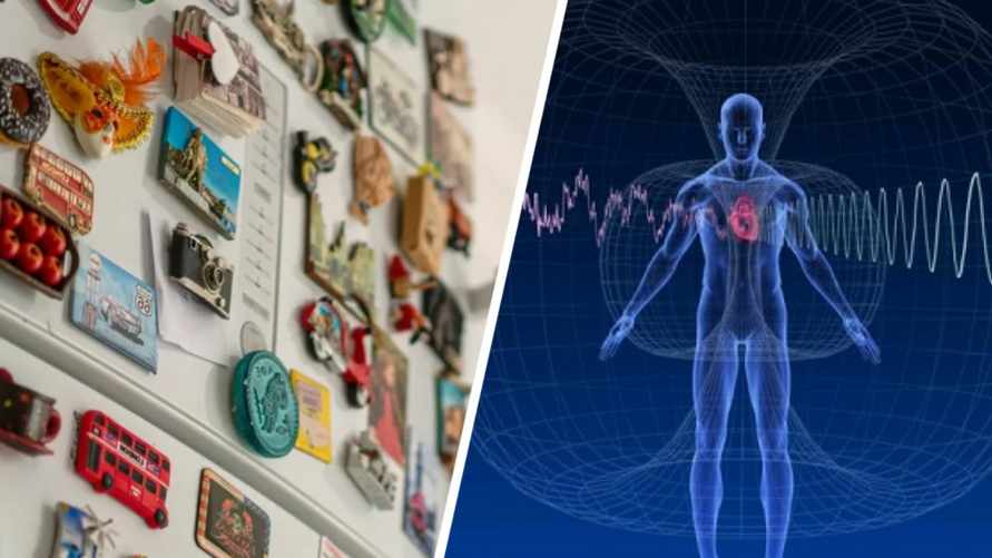 Фото иллюстрационное