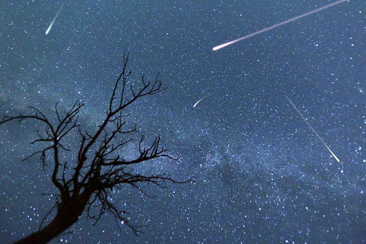 Метеорный поток Орионид над Беларусью достигнет пика в ночь на 28 ноября. Когда лучше смотреть на небо?