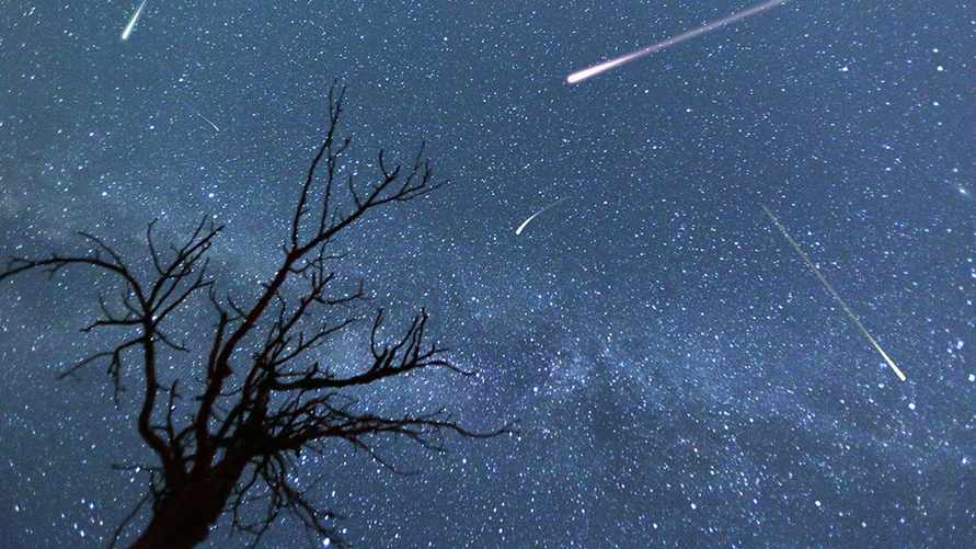 Метеорный поток Орионид над Беларусью достигнет пика в ночь на 28 ноября. Когда лучше смотреть на небо?