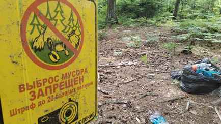 Наказали больше 500 белорусов. В Минприроды назвали среднюю сумму штрафа за мусор в неположенном месте