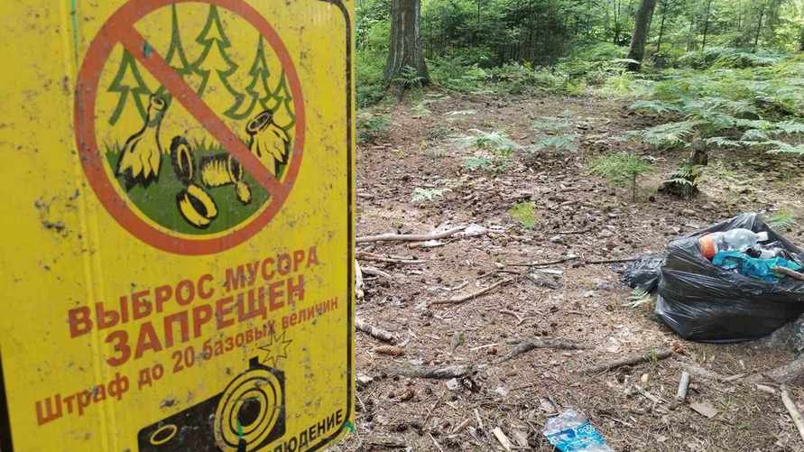 Фото: Telegraf.news