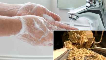 Из чего на самом деле делают мыло на заводах? Узнали, что входит в состав твердого, жидкого и хозяйственного