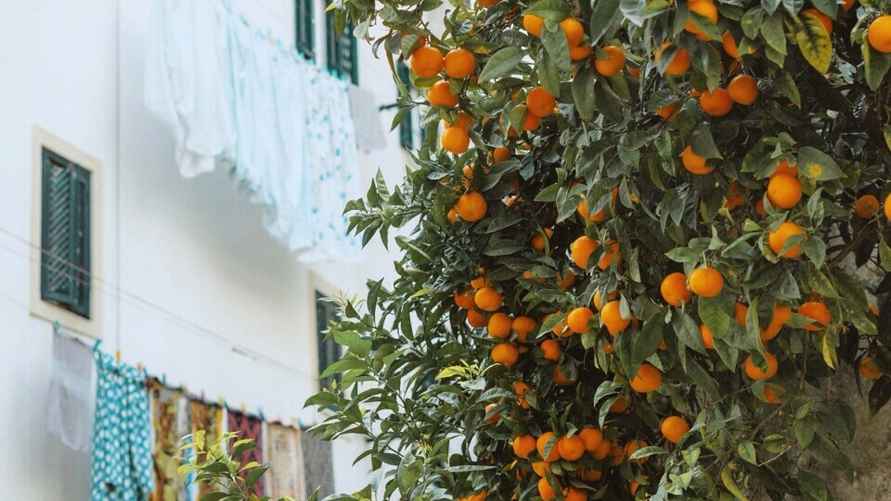 Фото: pexels.com