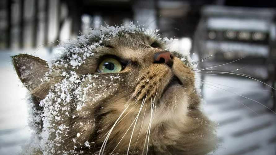 Фото иллюстрационное