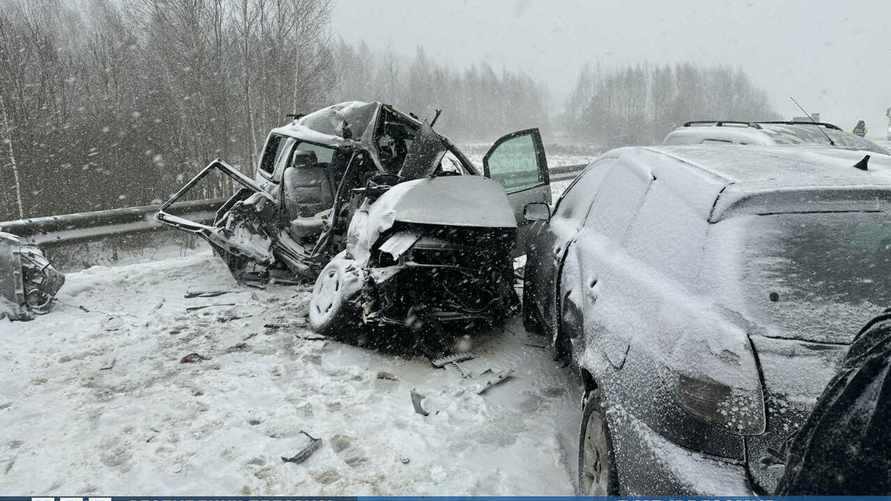 В Чаусском районе столкнулись 3 легковых авто и автобус. Погибли 2 человека