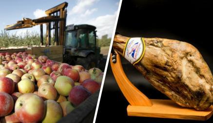 В МАРТ рассказали, почему не все белорусские яблоки «товарного вида». Чем предложили заменить испанский хамон?