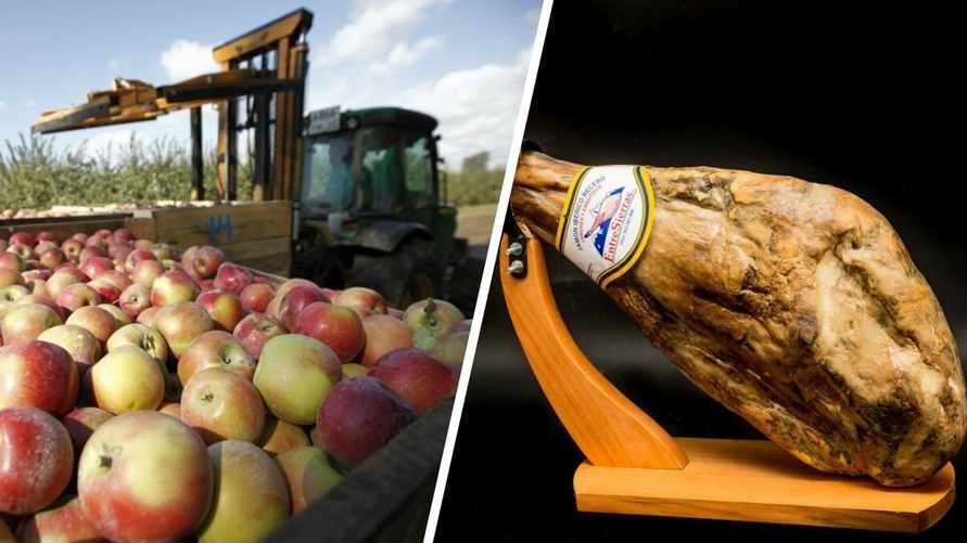 В МАРТ рассказали, почему не все белорусские яблоки "товарного вида". Чем предложили заменить испанский хамон?