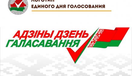 ЦИК показал логотип единого дня голосования с ошибкой в госфлаге Беларуси. Что не так?