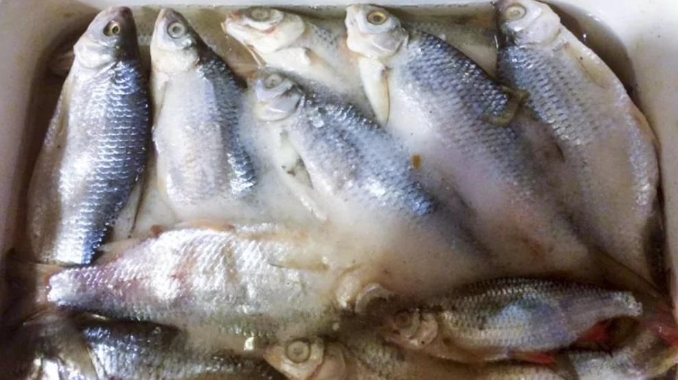 Рыба нежная как масло - как вкусно засолить красную рыбу дома