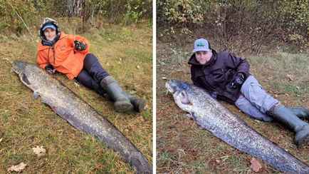 «Это вообще что за конь?» — Рыбаки поймали на Немане огромного сома и удивили соцсети