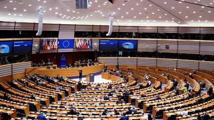 Совмин приостановил участие Беларуси в Европейской культурной конвенции